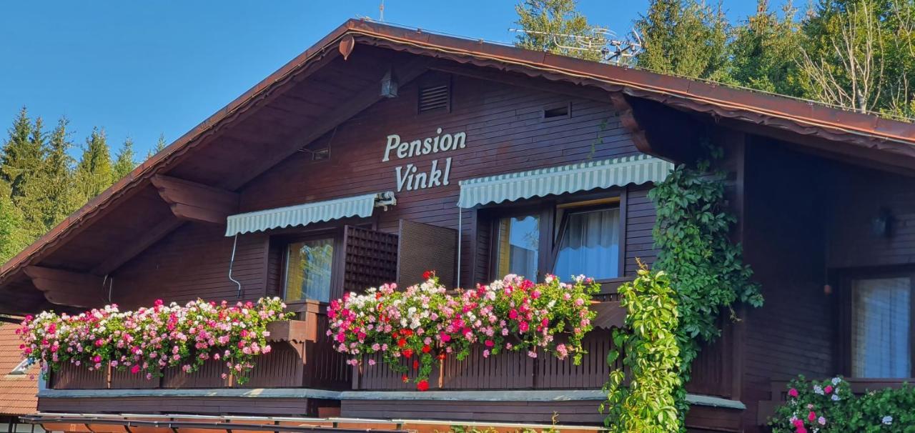 Pension Vinkl Harrachov Eksteriør billede
